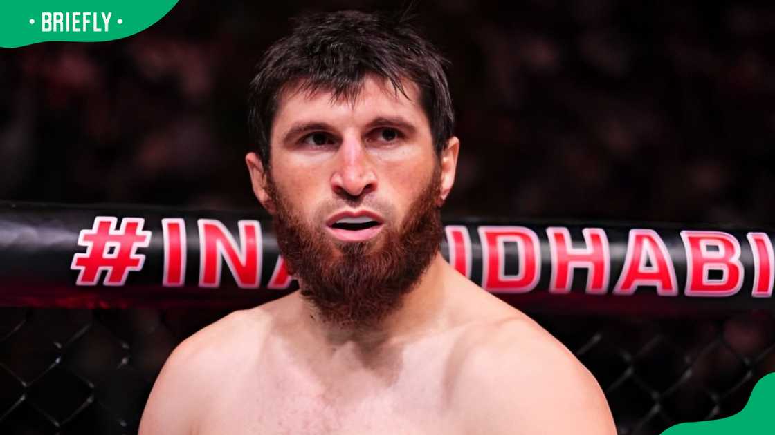 Magomed Ankalaev during the UFC 308 event Magomed Ankalaev during the UFC 308 event