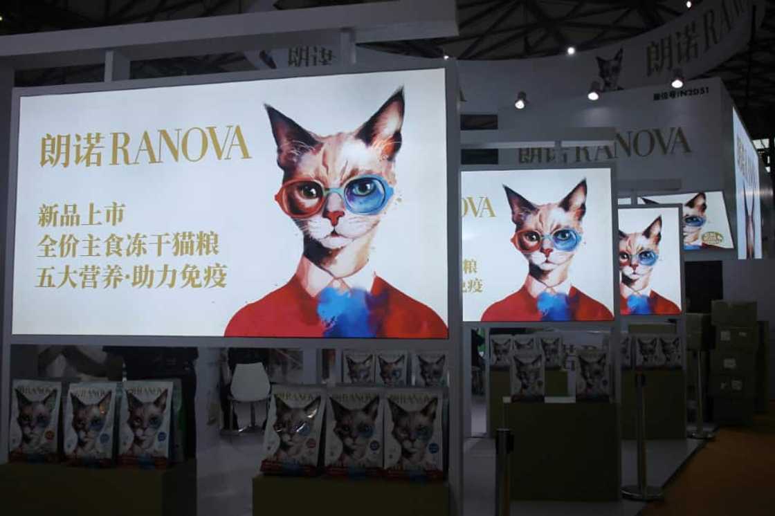 Posters for cat food are seen at Pet Fair Asia in Shanghai