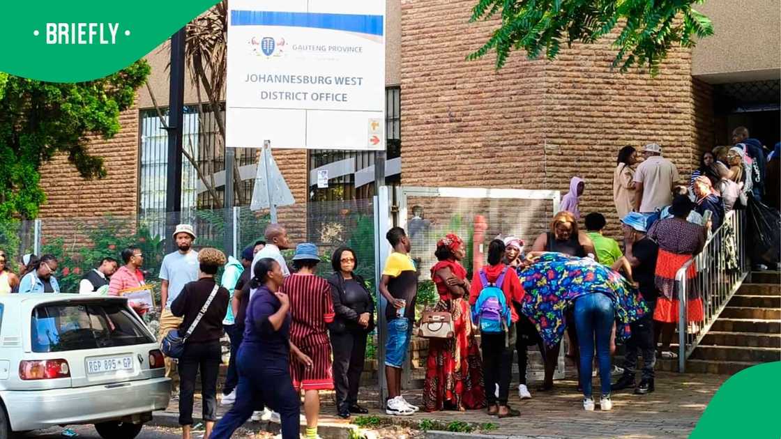 Parents in line for school admission