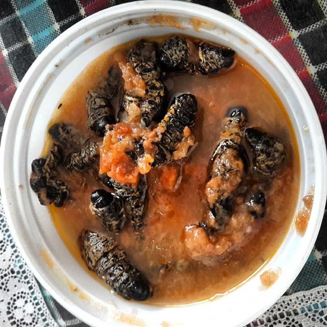 Venda traditional food Venda traditional food