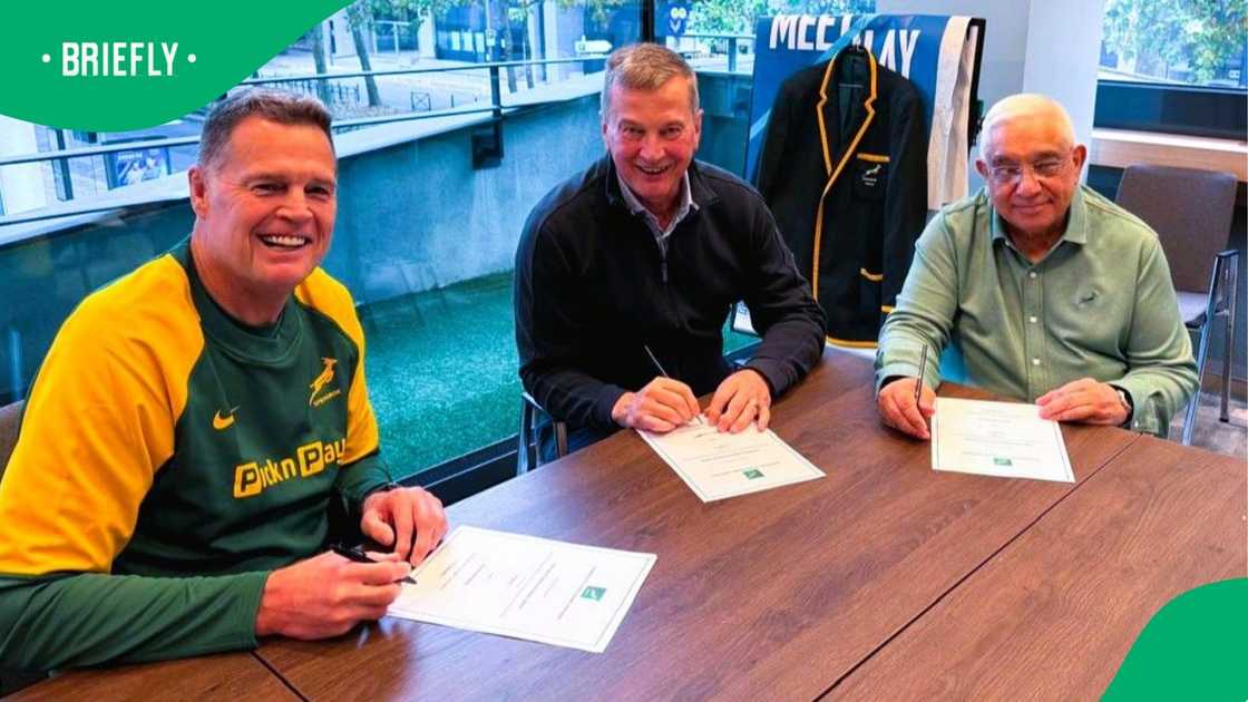 Rassie Erasmus, Springboks, Rugby World Cup. Rassie Erasmus, Springboks, Rugby World Cup.