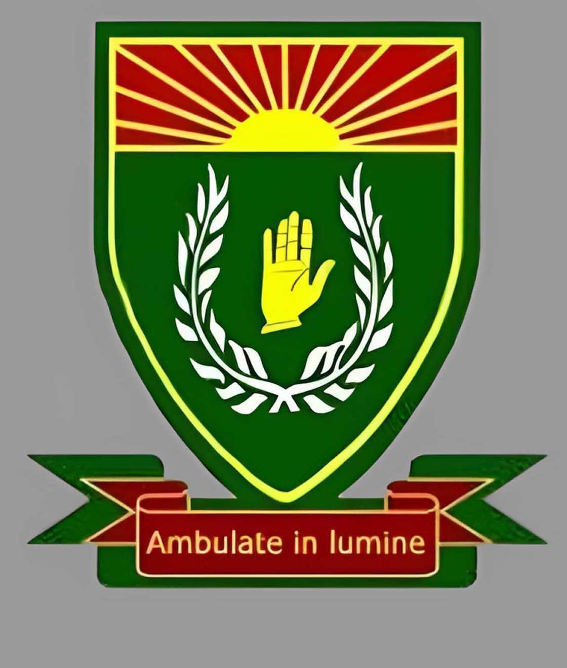 remedial schools for troubled youth in South Africa remedial schools for troubled youth in South Africa