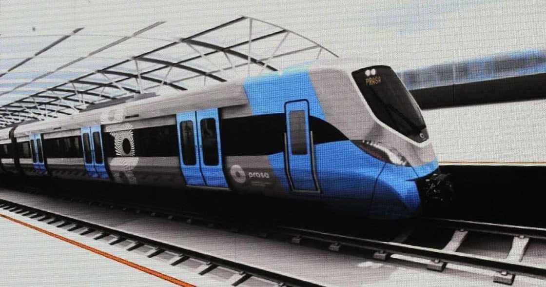 Prasa, Zolani Matthews, Paul Hoffman Prasa, Zolani Matthews, Paul Hoffman