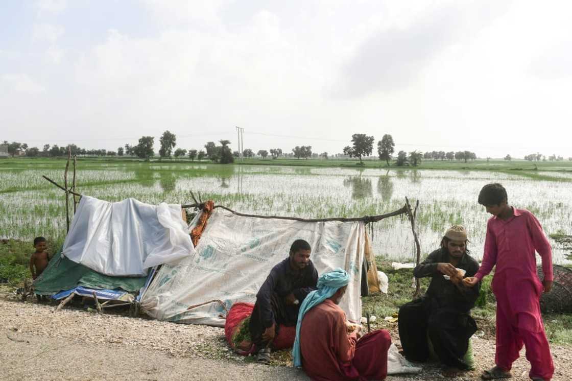 This year's monsoon was far heavier than usual This year's monsoon was far heavier than usual