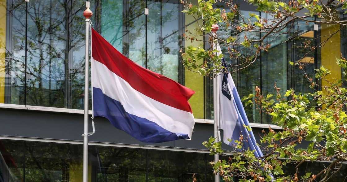 Dutch flag Dutch flag
