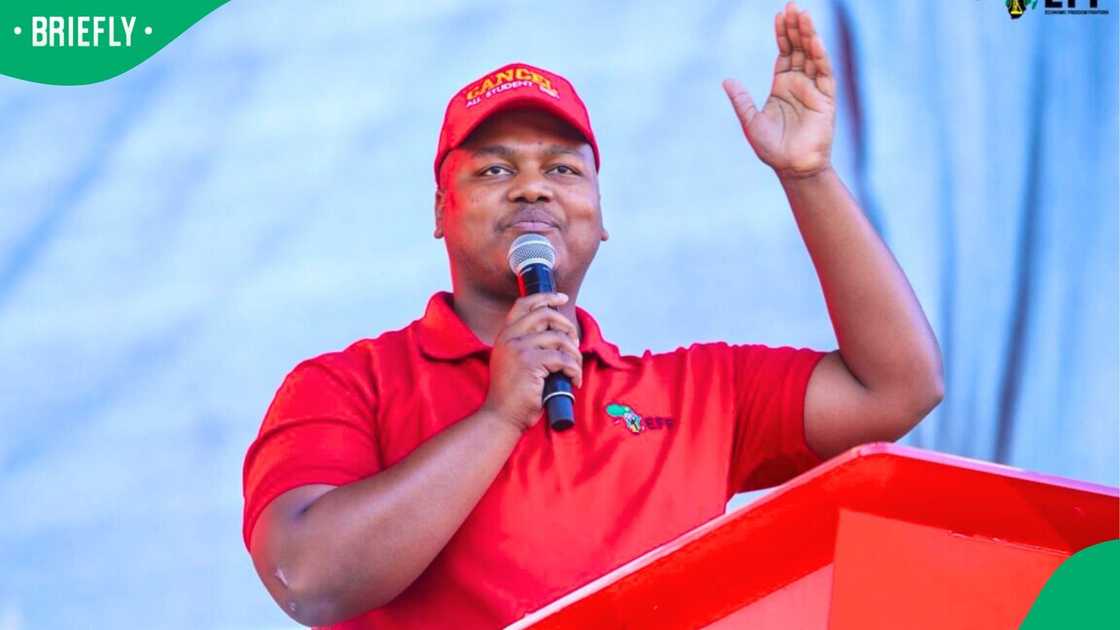 Sihle Lonzi protested against youth unemployment during the SONA debate Sihle Lonzi protested against youth unemployment during the SONA debate