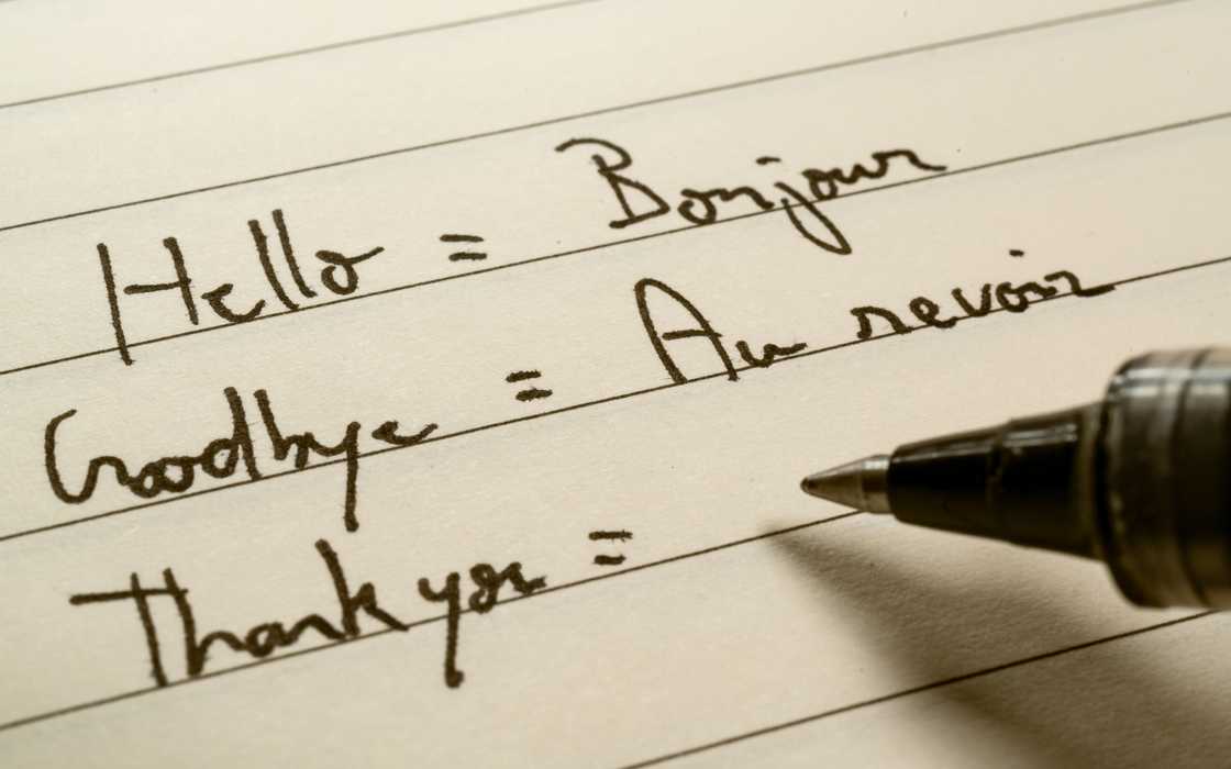 What is the most useful language to learn after English What is the most useful language to learn after English