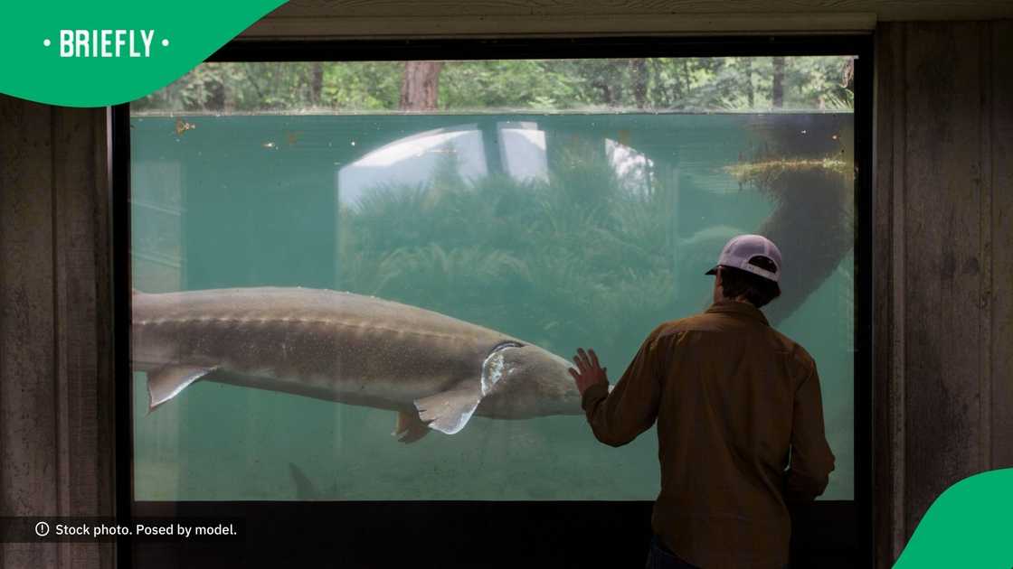 22-year-old gets bitten by surgeon 22-year-old gets bitten by surgeon