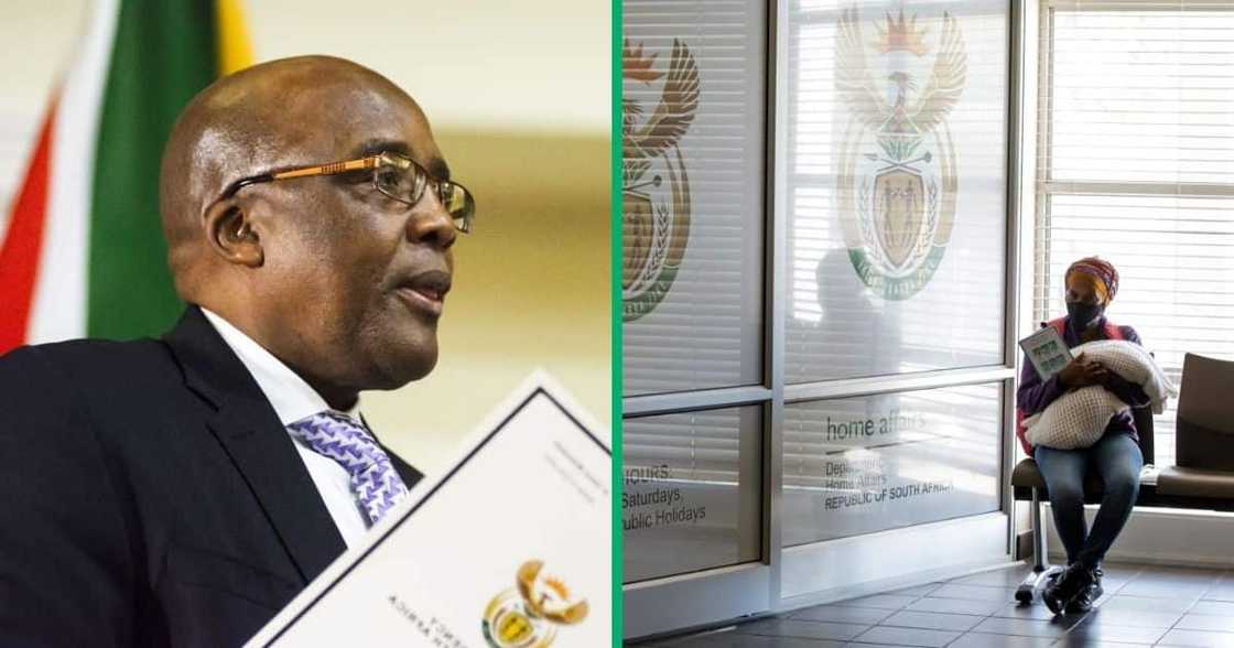 The SIU and Aaron Motsoaledi raided Department of Home Affairs' refugee centres