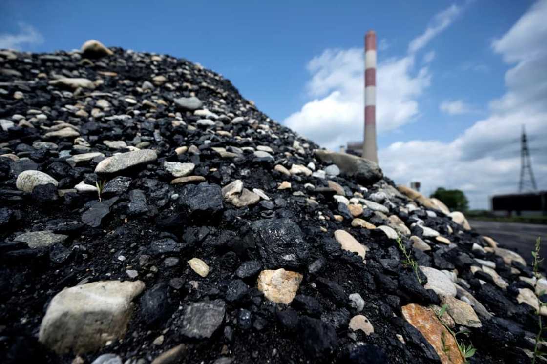 Chancellor Karl Nehammer has insisted that the plant would only go online if necessary Chancellor Karl Nehammer has insisted that the plant would only go online if necessary
