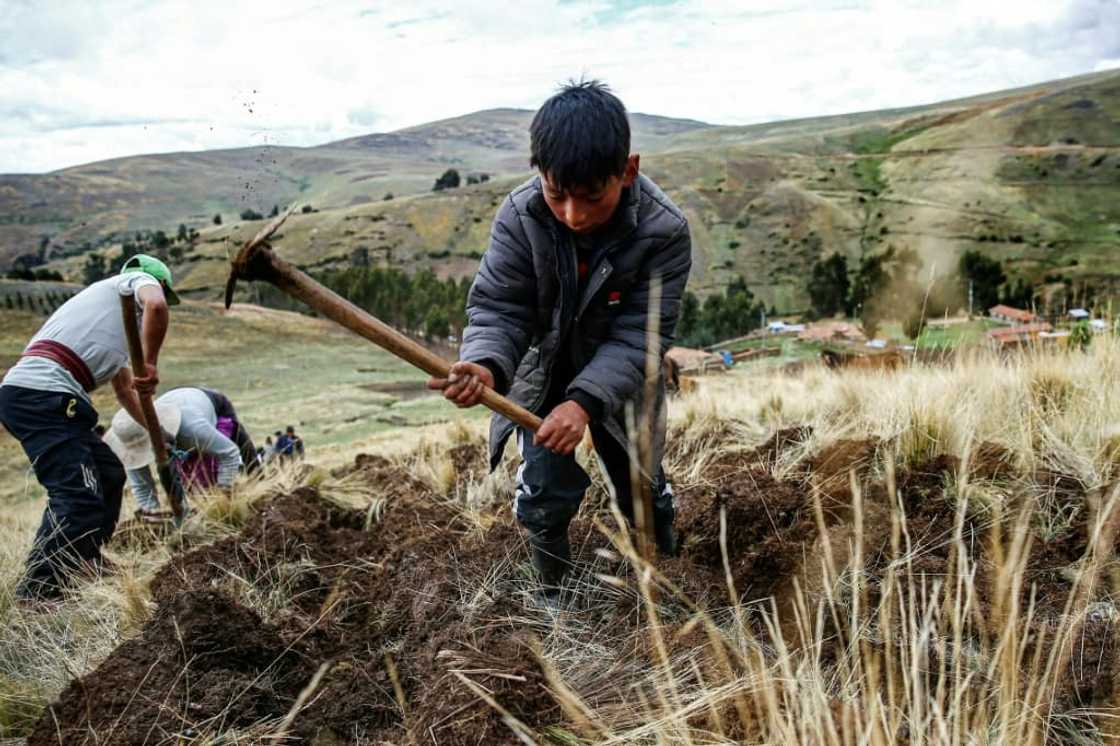 People born in Peru after 2000 will experience nine El Nino events over their lifetime -- three times as many as their parents. People born in Peru after 2000 will experience nine El Nino events over their lifetime -- three times as many as their parents.
