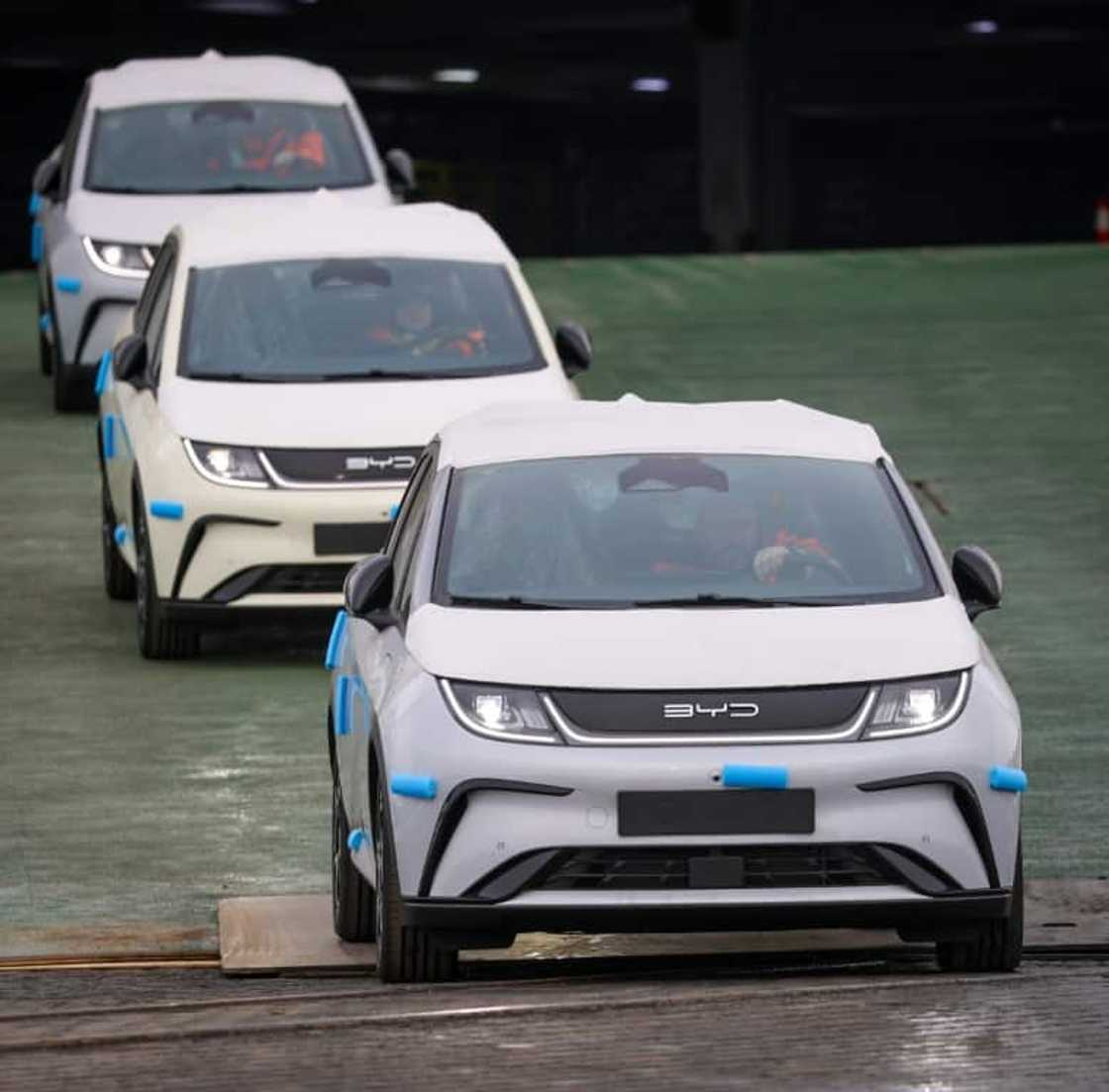 Some 3,000 vehicles were unloaded on Monday from the vessel Some 3,000 vehicles were unloaded on Monday from the vessel