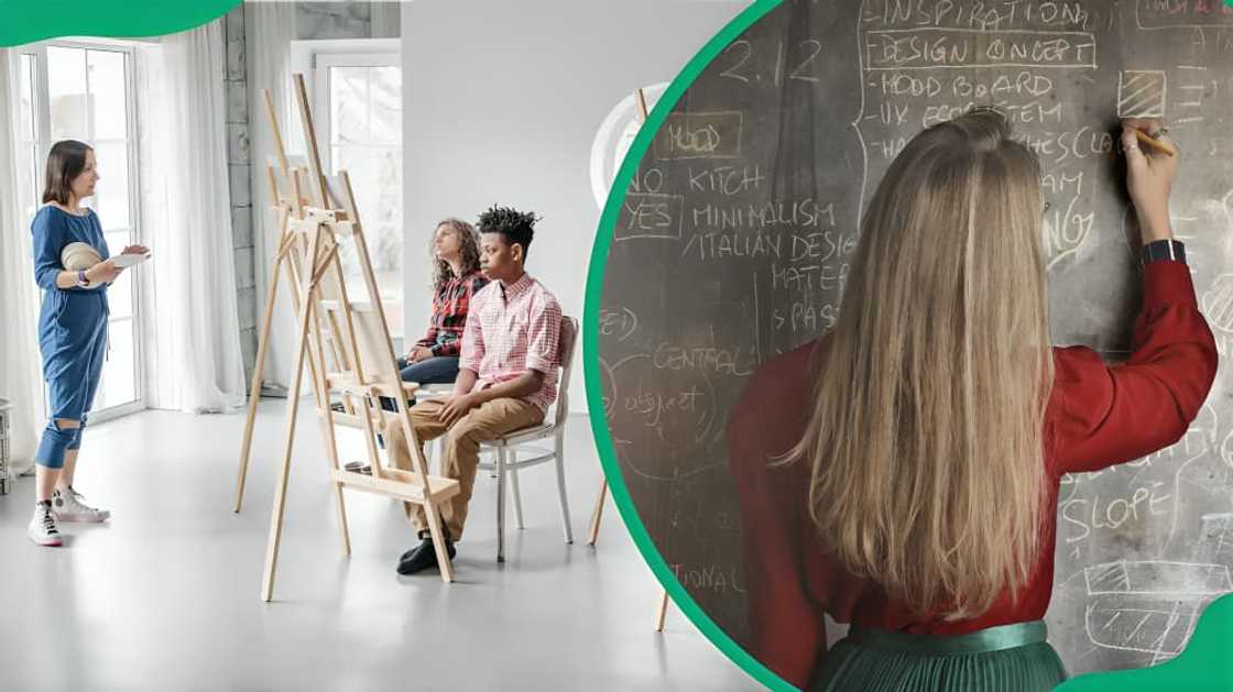 WCED online application WCED online application