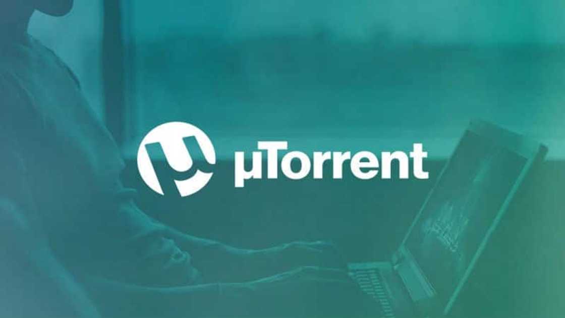 utorrent download movies