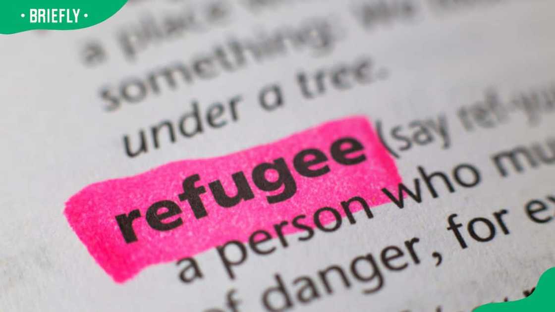 Online asylum application in South Africa Online asylum application in South Africa