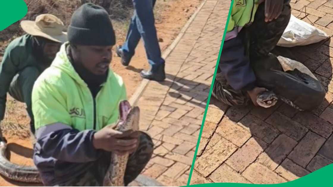 Man bitten by python Man bitten by python