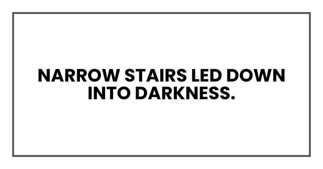 Narrow stairs led down into darkness. Narrow stairs led down into darkness.