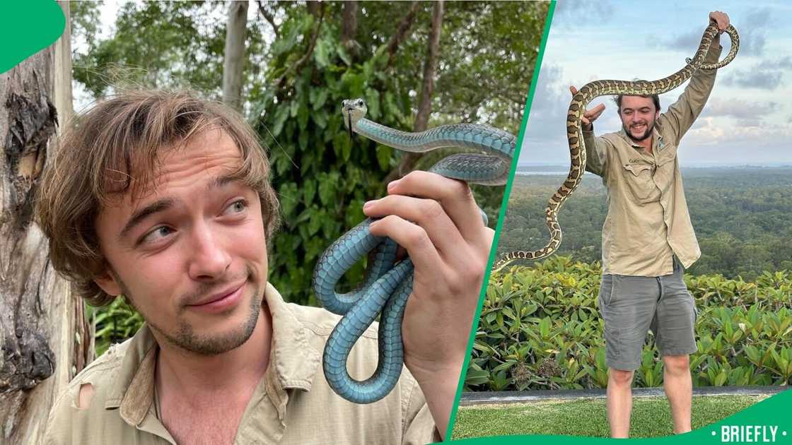 An expert caught a Carpet Python in a shower in Noosa Heads, Australia. An expert caught a Carpet Python in a shower in Noosa Heads, Australia.