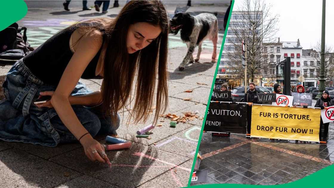 Woman's video on vegan protestors goes viral. Woman's video on vegan protestors goes viral.