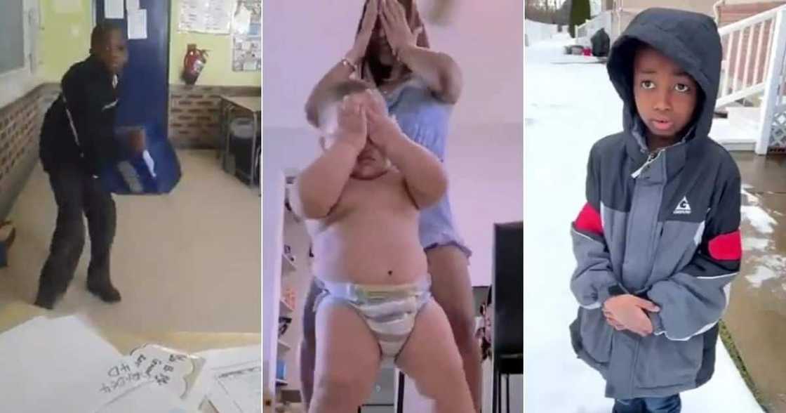 kids, behaviour, wilding kids, behaviour, wilding
