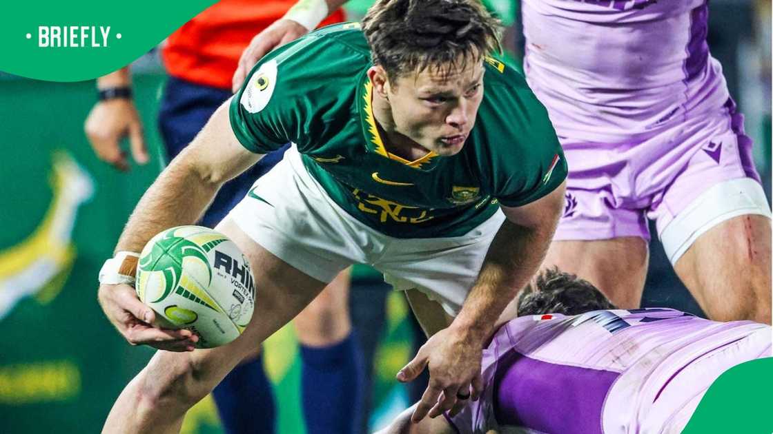 Springboks Springboks