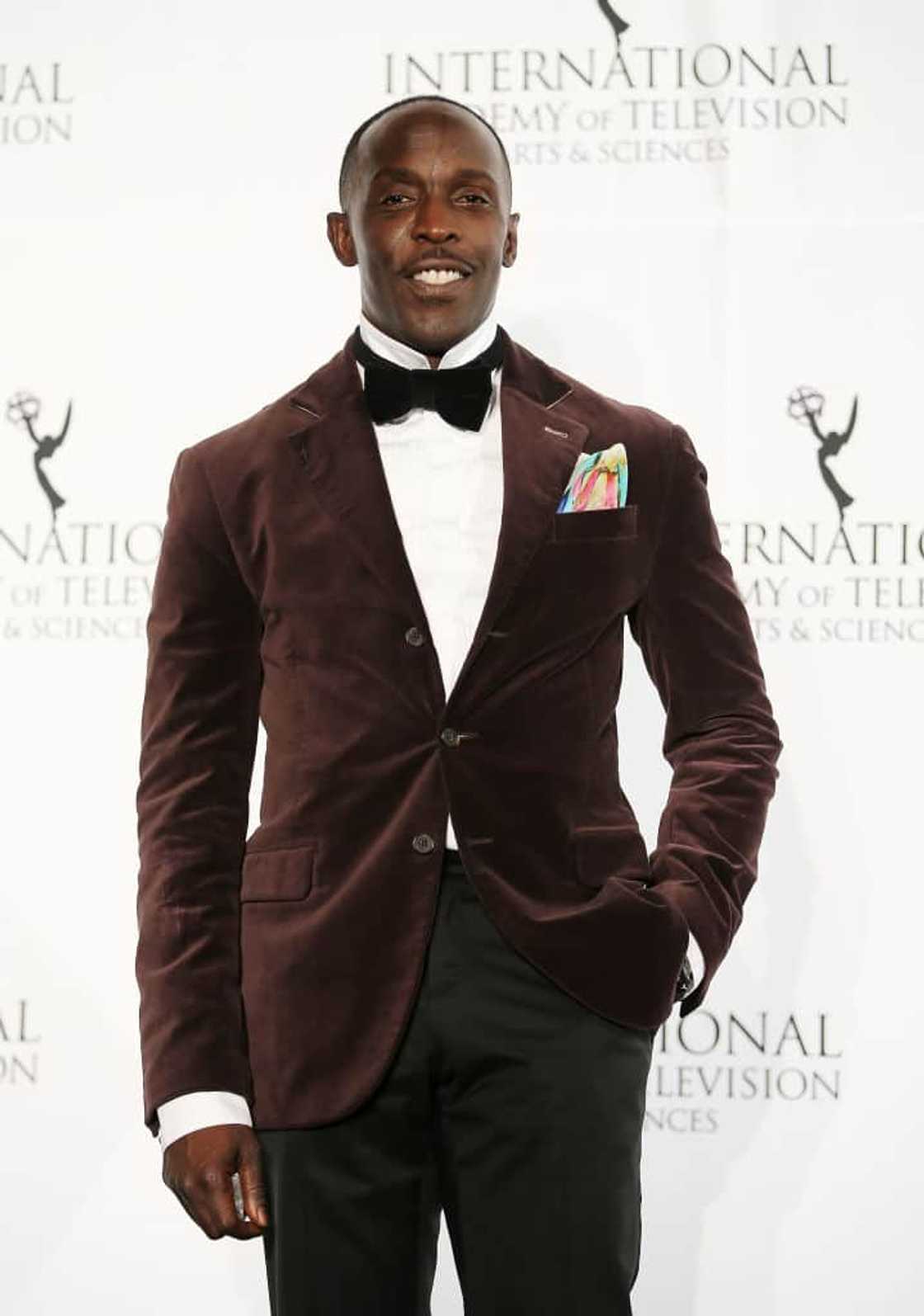 Michael K Williams's acting career Michael K Williams's acting career