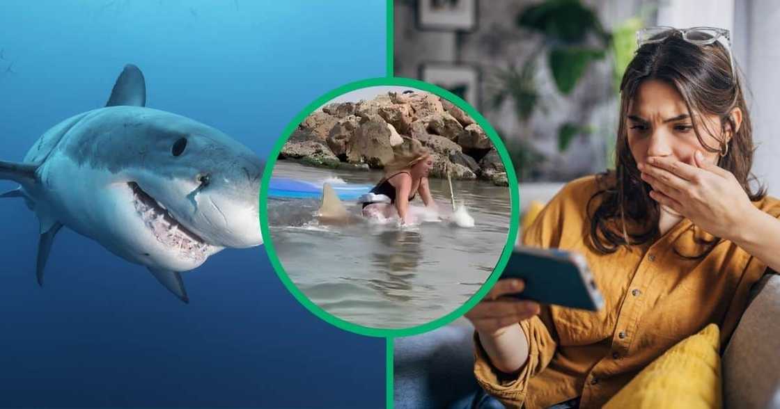 Woman falls into water with shark. Woman falls into water with shark.