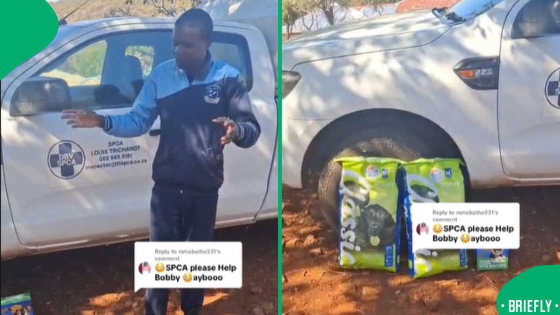 After feeding his dog inappropriate food, a man faced online criticism and a visit from the SPCA