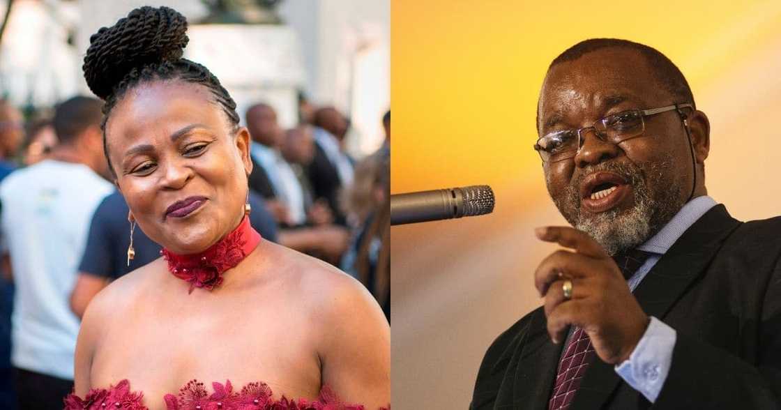 Mkhwebane vs Mantashe: SA responds to inquiry into Public Protector Mkhwebane vs Mantashe: SA responds to inquiry into Public Protector