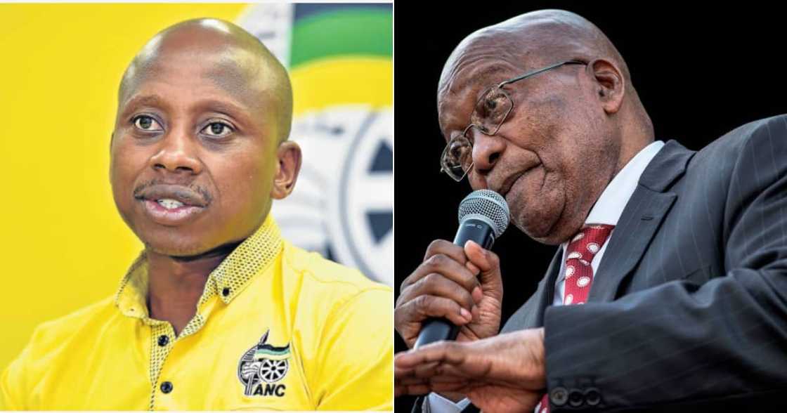 Jacob Zuma, Andile Lungisa, Nationwide shutdown, African National Congress, ANC, Nelson Mandela Bay, Constitutional Court Jacob Zuma, Andile Lungisa, Nationwide shutdown, African National Congress, ANC, Nelson Mandela Bay, Constitutional Court