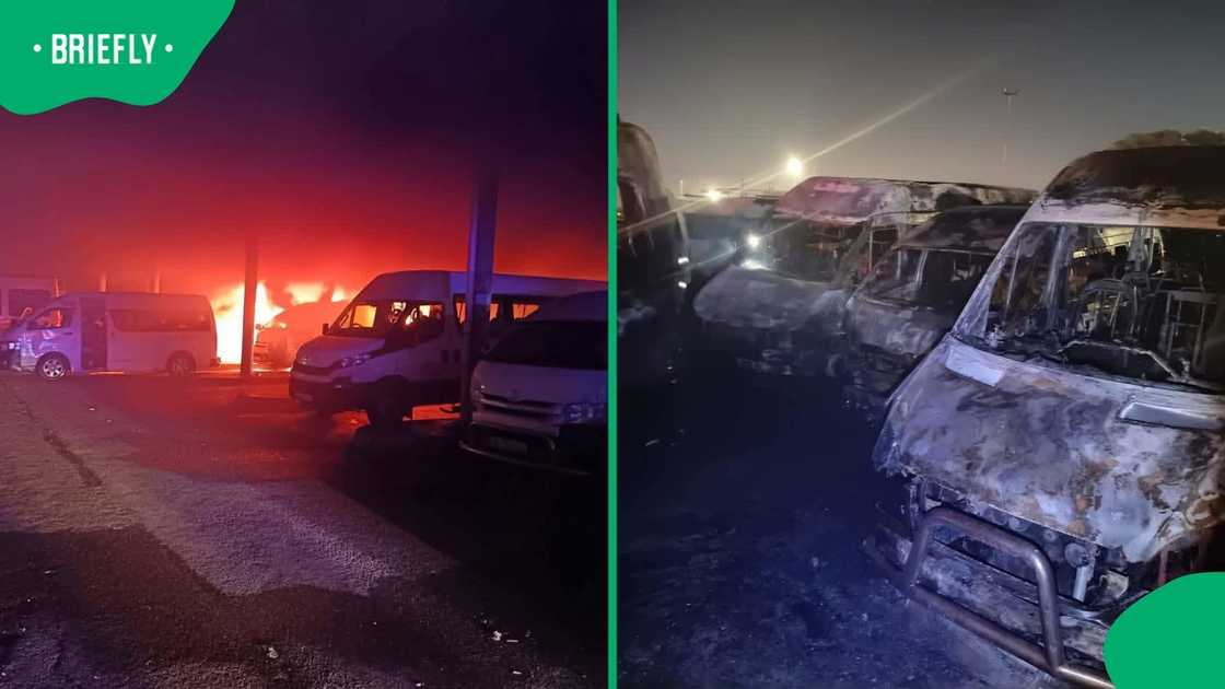 Nine taxis were torched in Nyanga, Cape Town in an act the ANC in the province condemned Nine taxis were torched in Nyanga, Cape Town in an act the ANC in the province condemned