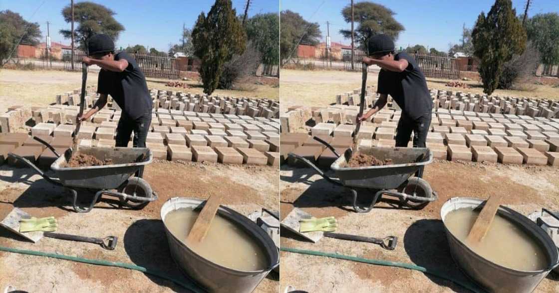 Unemployed, Man, Honours Degree, Hustles, Bricks Unemployed, Man, Honours Degree, Hustles, Bricks