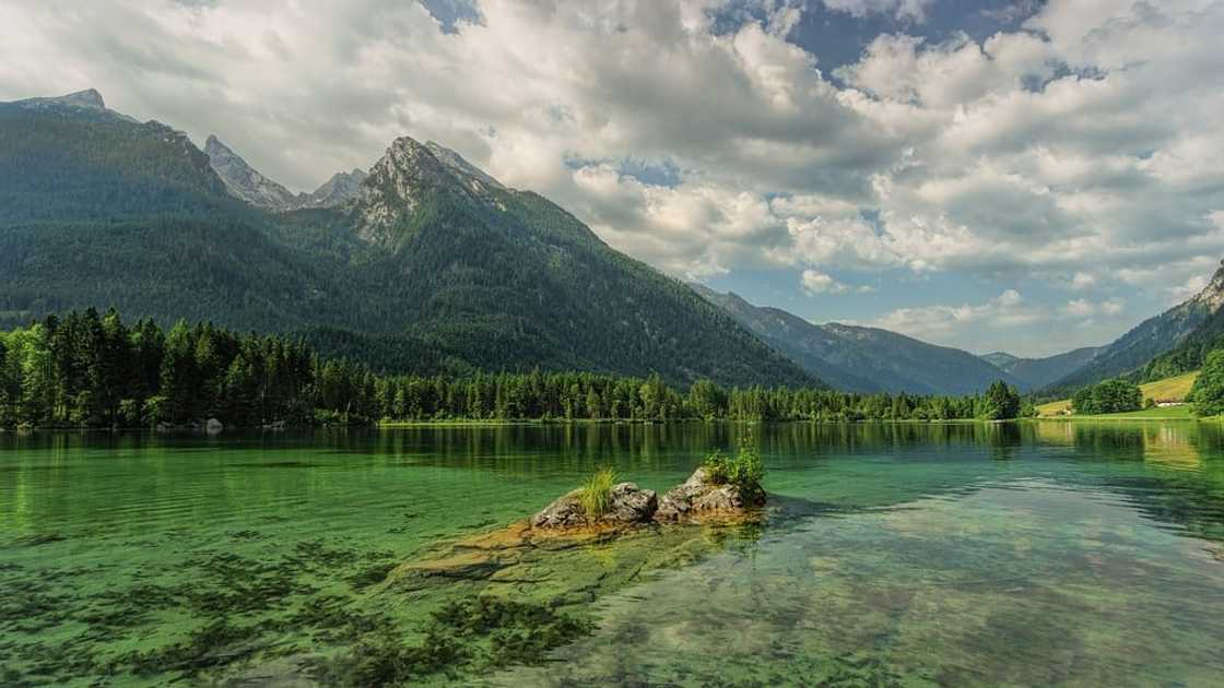 nature nature