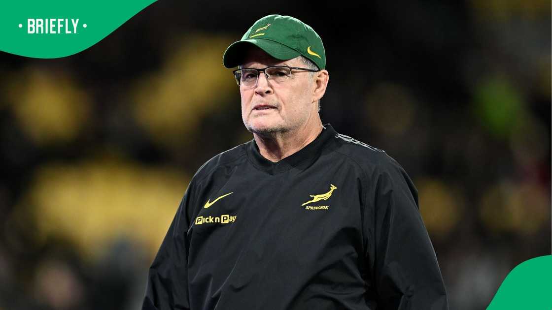 Rassie Erasmus, Springboks, Rugby Championship Rassie Erasmus, Springboks, Rugby Championship