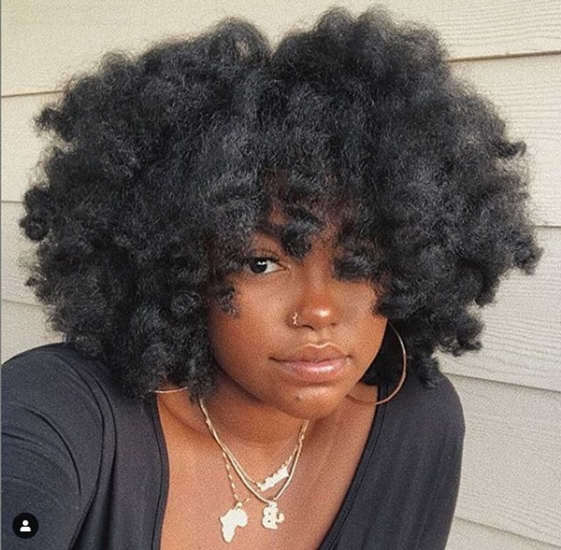 natural afro hairstyles