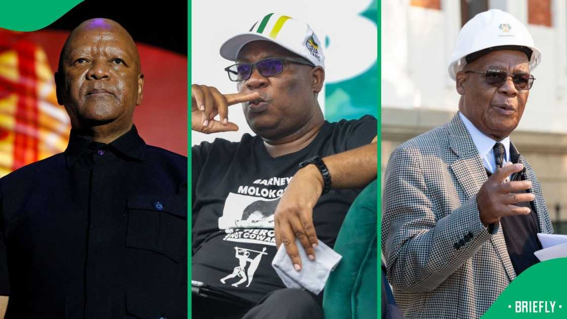 The ANC's reconfigured leadership includes Jeff Radebe, Amos Masondo and Panyaza Lesufi