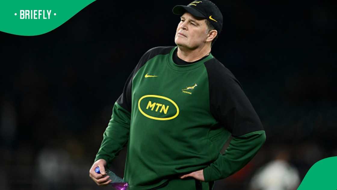Rassie Erasmus during England vs South Africa clash. Rassie Erasmus during England vs South Africa clash.