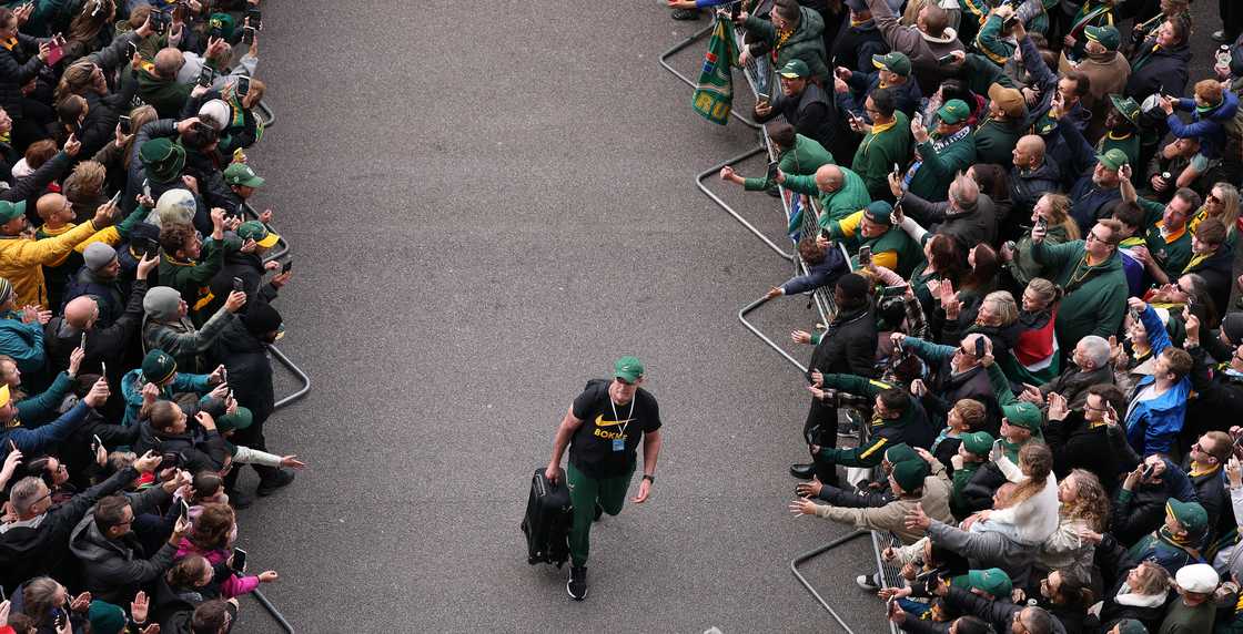 Springboks, Rassie Erasmus, South Africa