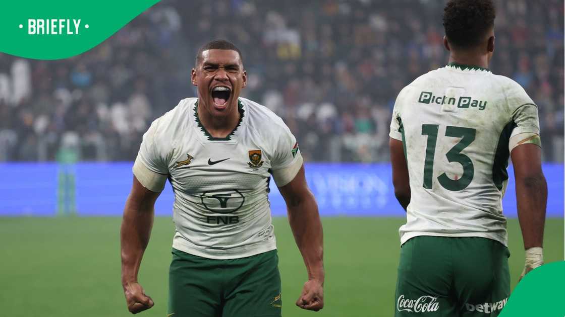 Damian Willemse, Springboks, South Africa, Ethan Hooker