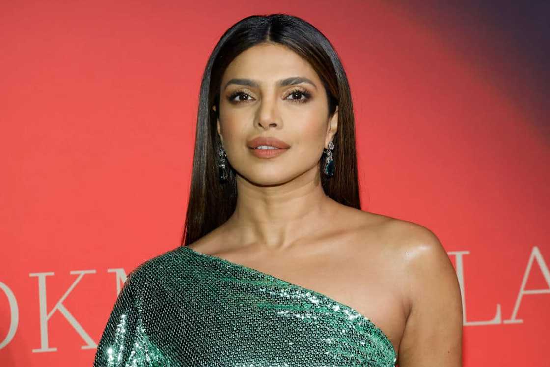 Priyanka Chopra at the 2023 DKMS Gala