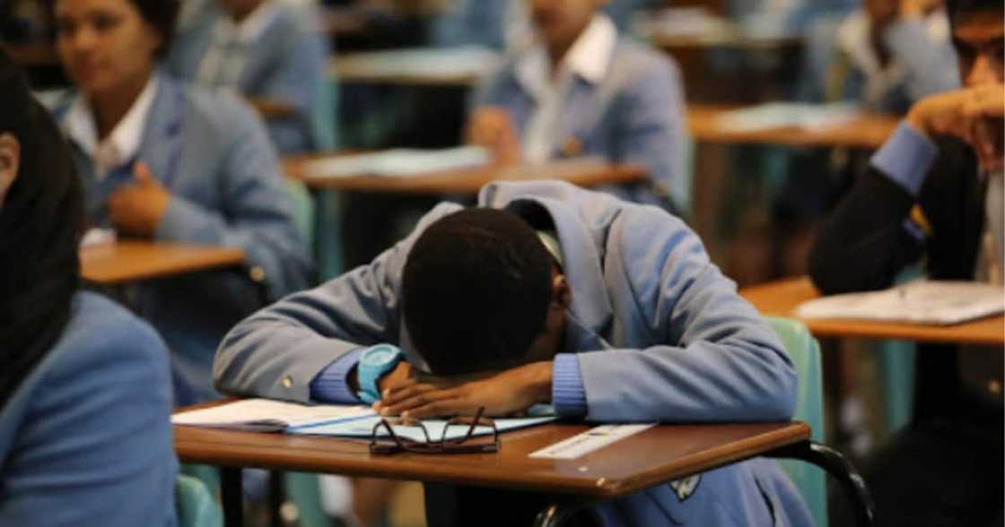 Western Cape, MEC, Education, Debbie Schafer, Criticism, Eskom, Power utility, Stage 4, Load shedding, Matriculants, Final exams, Covid 19 pandemic Western Cape, MEC, Education, Debbie Schafer, Criticism, Eskom, Power utility, Stage 4, Load shedding, Matriculants, Final exams, Covid 19 pandemic