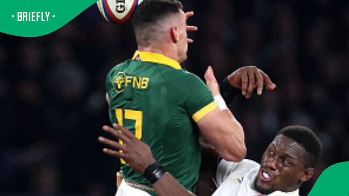 Springboks, South Africa, England, Maro Itoje Springboks, South Africa, England, Maro Itoje