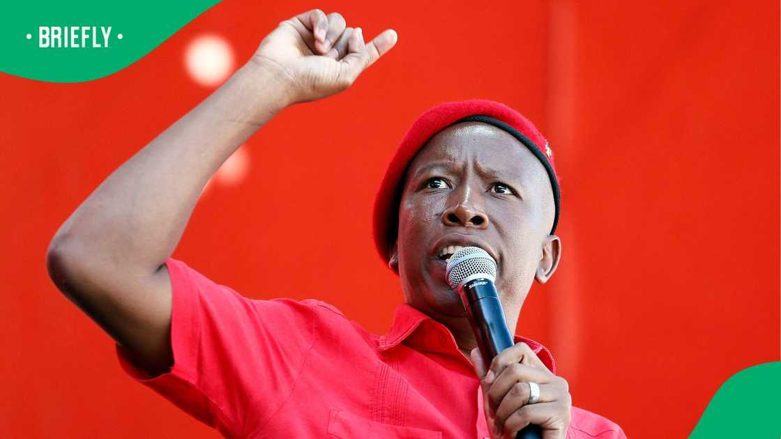 Malema himself implied that the magistrate who convicted him was racist