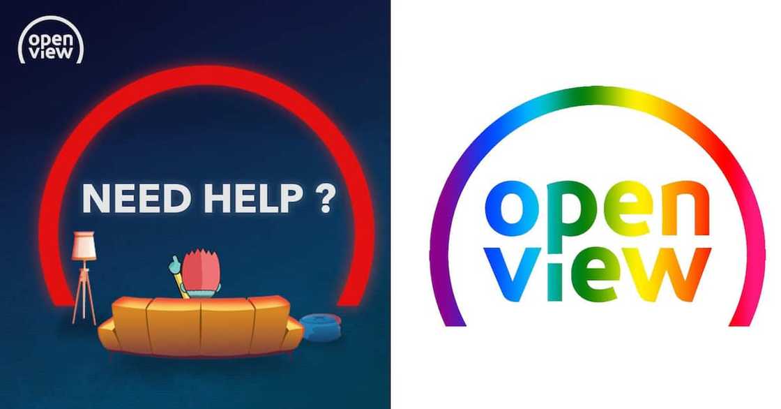 OpenView number OpenView number