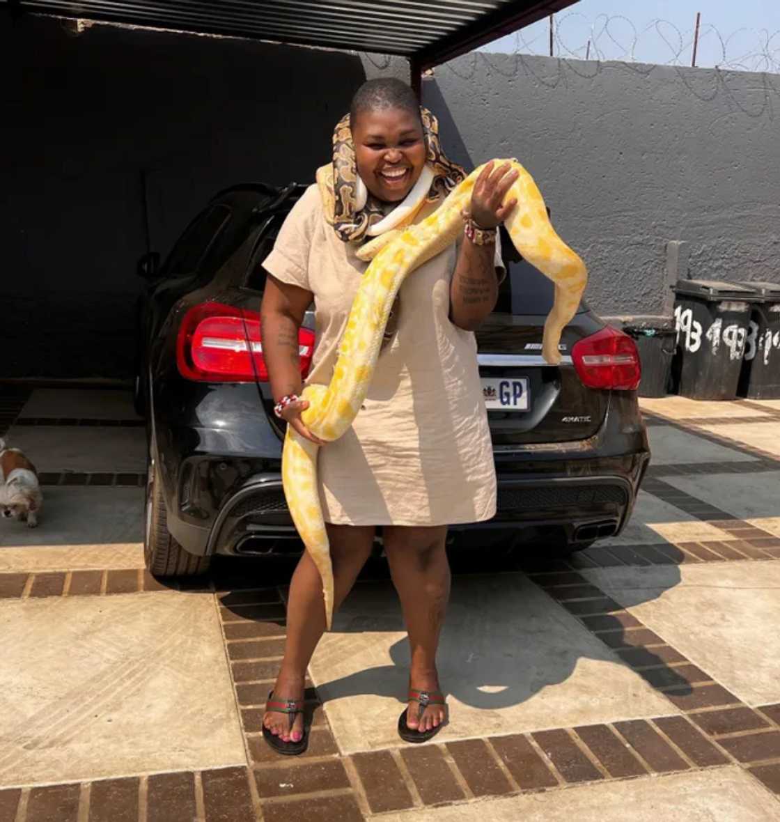 Maweni posed with her yellow snake. Maweni posed with her yellow snake.