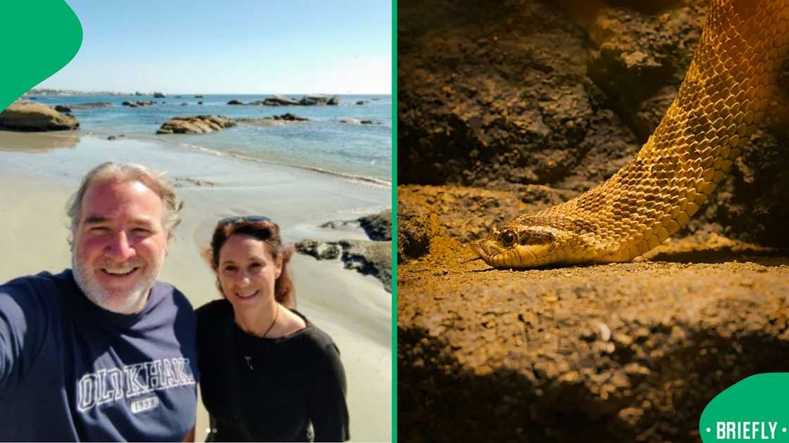 The viral clip sparked fierce debate as South Africans tried to identify whether it was a harmless molesnake or something more deadly