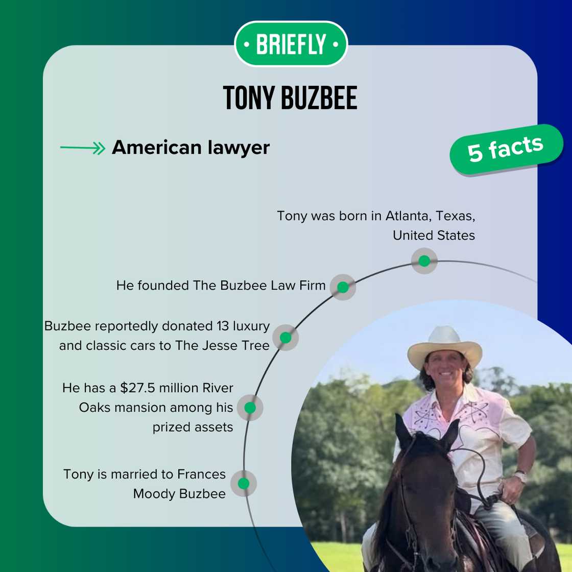 Facts about Tony Buzbee