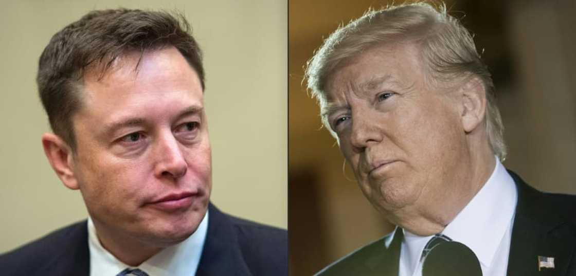 Elon Musk (L) says he will not directly back Donald Trump (R) or Joe Biden, but his X feed makes clear that his support lies with the Republican