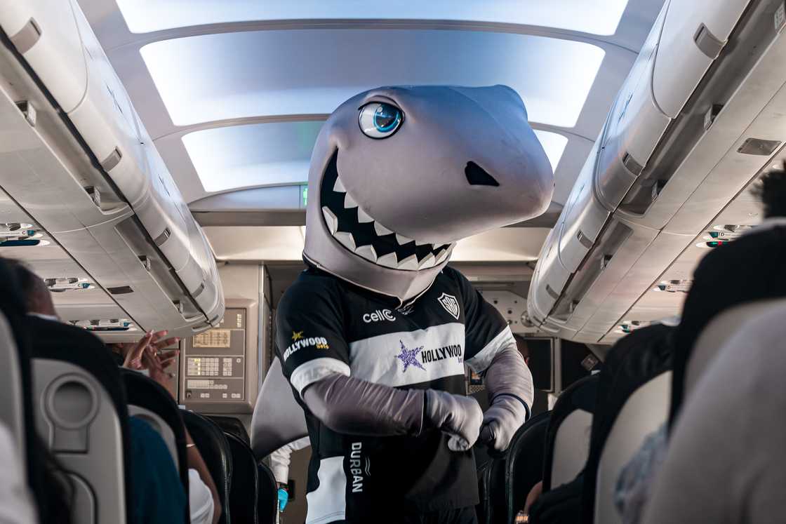 The Sharks and LIFT Launch New Partnership at 36,000 Feet With Surprise Cabin Activation