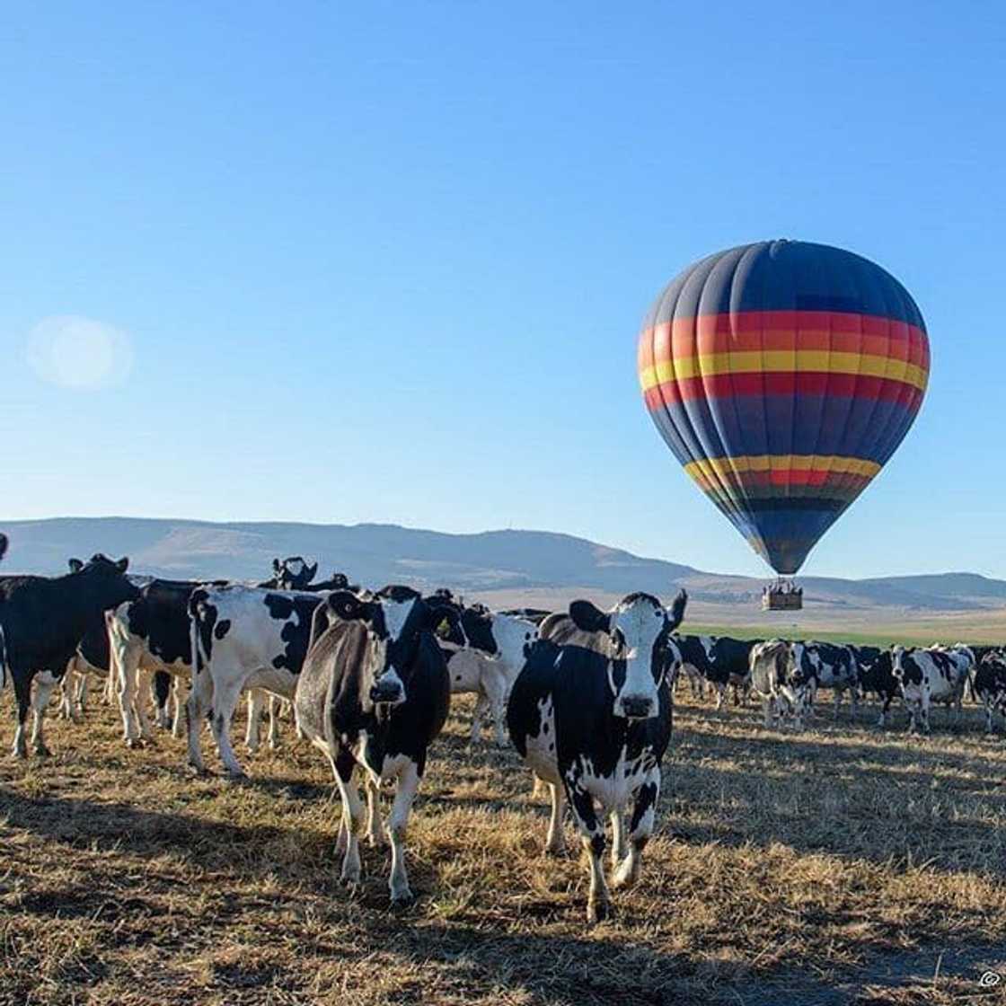 activities in Clarens activities in Clarens